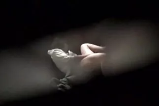 Az aggódó nővére beugrott az ágyba a bátyjával anya fia családi szex és megbaszott.