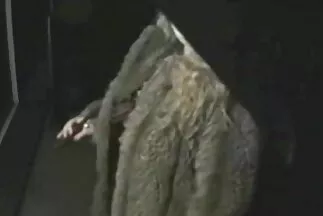 Az alattomos hercegnők vizes családiszexvideo szájjal nyalják egymás sapkáját.